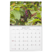 Unkraut, Saatgut und Berries #2 Kalender (Mär 2027)