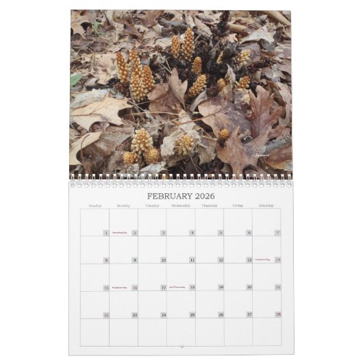 Unkraut, Saatgut und Berries #2 Kalender (Feb 2026)