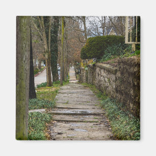 Unlevel Pathway Magnet