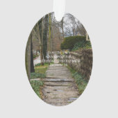 Unlevel Pathway Ornament (Rückseite)