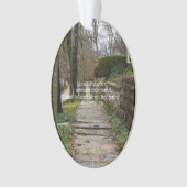 Unlevel Pathway Ornament (Vorderseite)