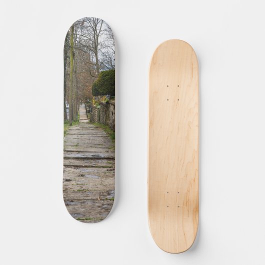 Unlevel Pathway Skateboard (Vorderseite)