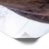 Unmittelbar vom Pferdchen-lustiges Tier Fotodruck (Ecke)