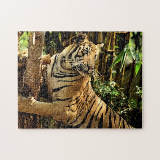 Unmögliches Puzzle - Dschungel Tiger (Horizontal)