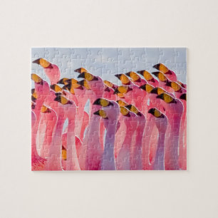 Unmögliches Puzzle - Flamingos