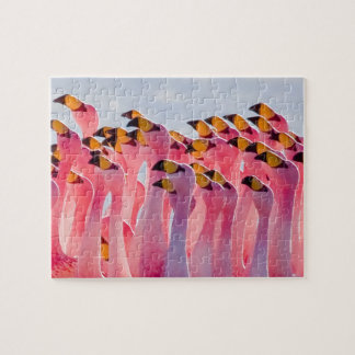 Unmögliches Puzzle - Flamingos