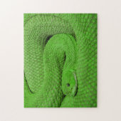 Unmögliches Puzzle - Grüne Schlange (Vertikal)