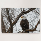 Unmögliches Puzzle - Haliäetus (Horizontal)