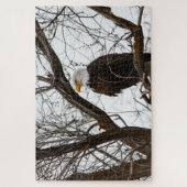 Unmögliches Puzzle - Haliäetus (Vertikal)