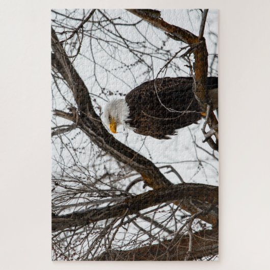 Unmögliches Puzzle - Haliäetus (Vertikal)