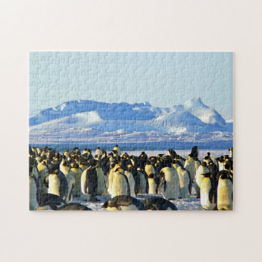 Unmögliches Puzzle - Pinguine Kolonie (Horizontal)