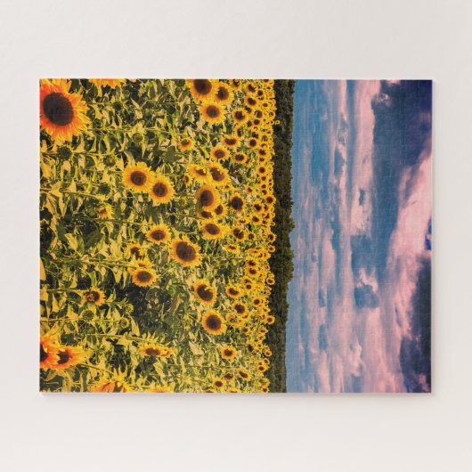 Unmögliches Puzzle - Sonnenblumenfeld (Horizontal)