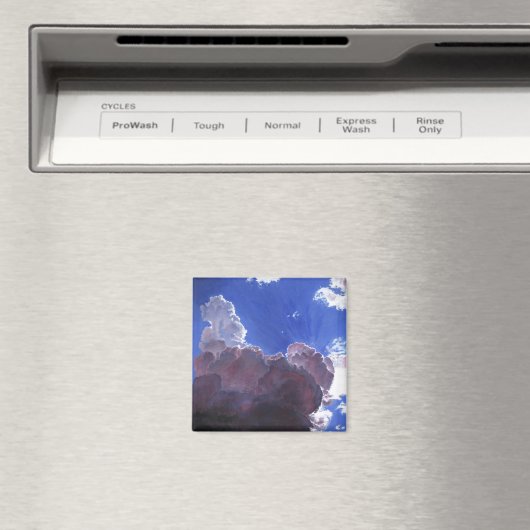 Unnachgiebiges Licht 2012 Magnet (In Situ (Geschirrspüler))