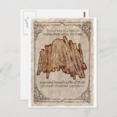 Unnatürliches Pflaster auf Postkarte (Vorne/Hinten)