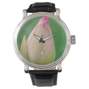 Unopened Water Lily Bulb, Durban Botanical Armbanduhr