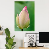 Unopened Water Lily Bulb, Durban Botanical Poster (Heimbüro)