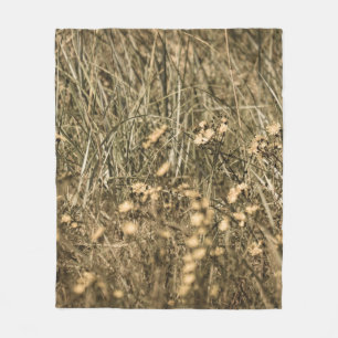 unregelmäßige trockene Pflanze am felsigen überdac Fleecedecke