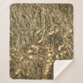 unregelmäßige trockene Pflanze am felsigen überdac Sherpadecke (Vorderseite)