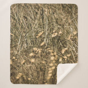 unregelmäßige trockene Pflanze am felsigen überdac Sherpadecke