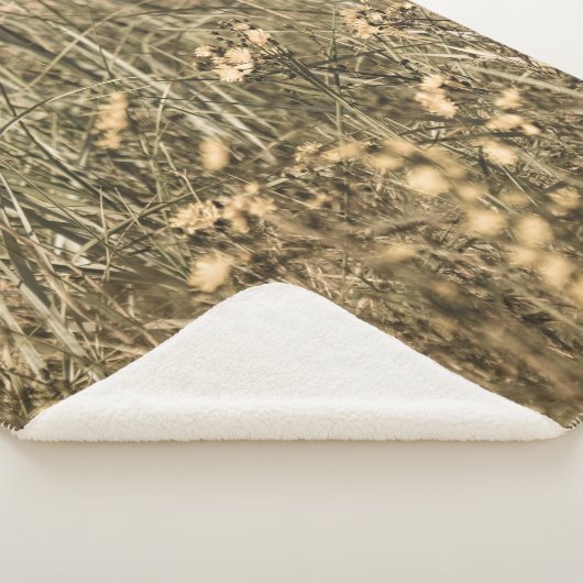 unregelmäßige trockene Pflanze am felsigen überdac Sherpadecke (3/4)