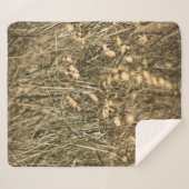 unregelmäßige trockene Pflanze am felsigen überdac Sherpadecke (Vorderseite (Horizontal))