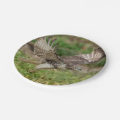 Unreifes Rot angebundener Falke Pappteller (Schrägansicht)