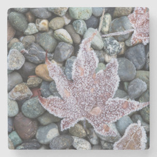 Uns, Wa, Bainbridge Island. Frühmorgenfrost 2 Steinuntersetzer
