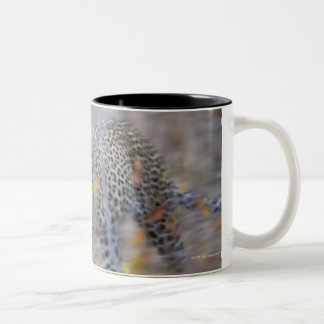 unscharfe Bewegung Zweifarbige Tasse