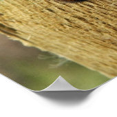 Unscharfe Raupe Poster (Ecke)