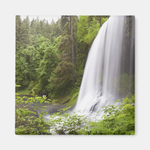 Unscharfe Wasserfall-und Waldansicht in Oregon Magnet