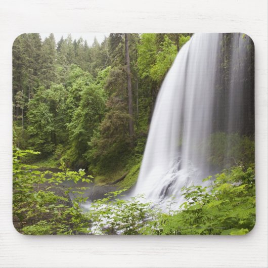Unscharfe Wasserfall-und Waldansicht in Oregon Mousepad (Vorne)