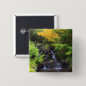 Unscharfer Felsen-Wasserfall, Ahorn-grüne u. Button (Vorne & Hinten)