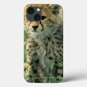 Unscharfer Gepard-Junges Case-Mate iPhone Hülle
