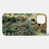Unscharfer Gepard-Junges Case-Mate iPhone Hülle (Rückseite (Horizontal))