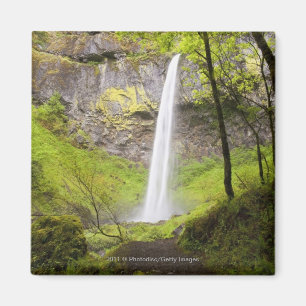 Unscharfer Wasserfall um üppiges Grün in Oregon Magnet
