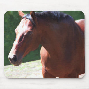 Unschätzbarer Unfug (Portia) Mousepad