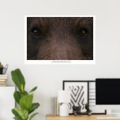 UNSCHÖNE SCHÖNHEIT (Grizzly Bär) ~ Kunstdrucke Poster (Heimbüro)
