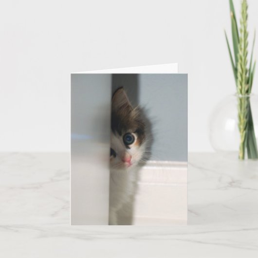 Unschuld Notecard Karte (Vorderseite)