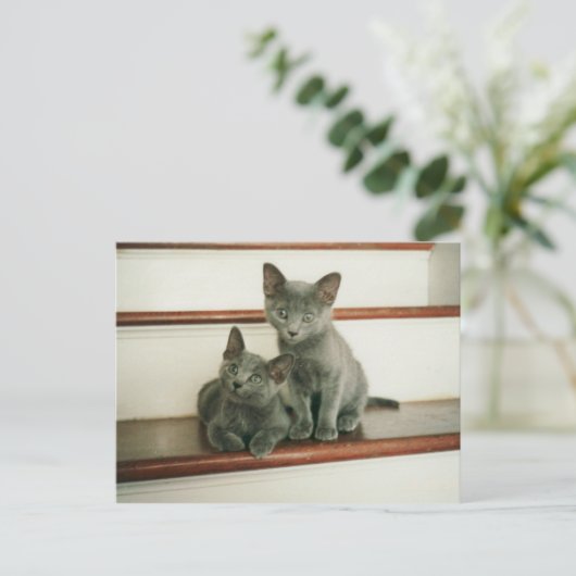 Unschuld Postkarte (Stehend Vorderseite)