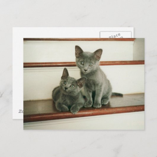 Unschuld Postkarte (Vorne/Hinten)