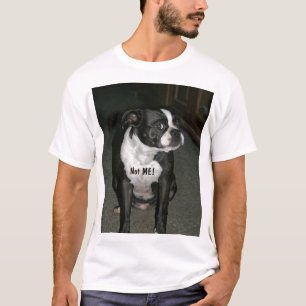 Unschuldig-Engel Bostons Terrier T-Shirt