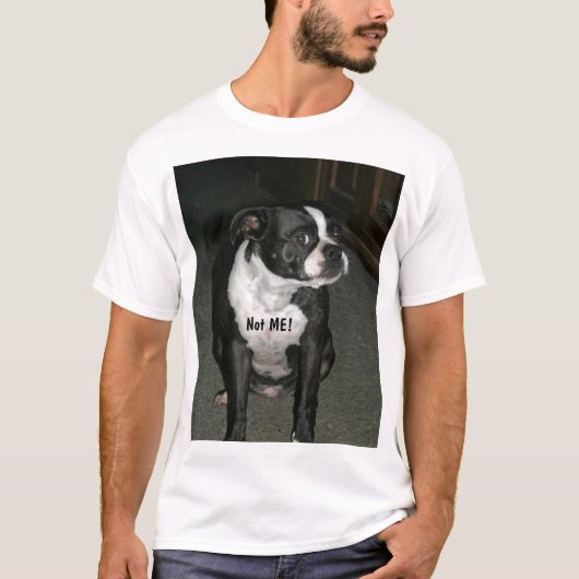 Unschuldig-Engel Bostons Terrier T-Shirt (Vorderseite)