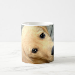 Unschuldige Abby Tasse