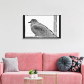 Unschuldige Taube Leinwanddruck (Insitu (Wohnzimmer))