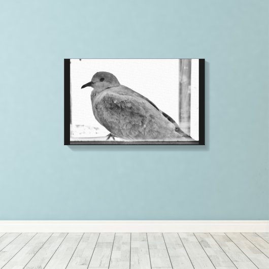 Unschuldige Taube Leinwanddruck (Insitu (Holzboden))