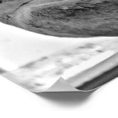 Unschuldige Taube Poster (Ecke)