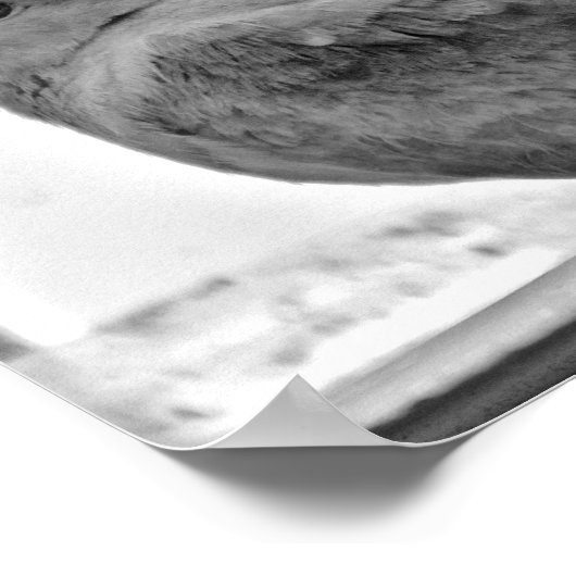 Unschuldige Taube Poster (Ecke)