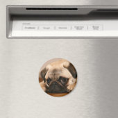 " Unschuldiger Mops Magnet (In Situ (Geschirrspüler))