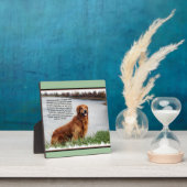 Unschüttelbarer Glaube Inspiration Fotoplatte (InSitu)