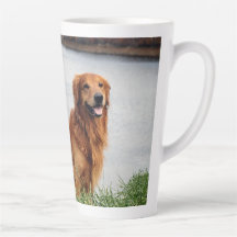 Unschüttelbarer Glaube Inspiration